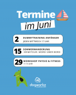 Neue Kurse & Workshops 