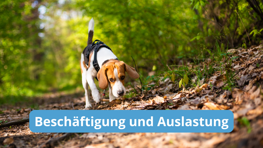 Auslastung und Beschäftigung