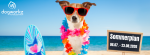 Sommerkursplan 2026 – Sommer, Sonne und Hundetraining!